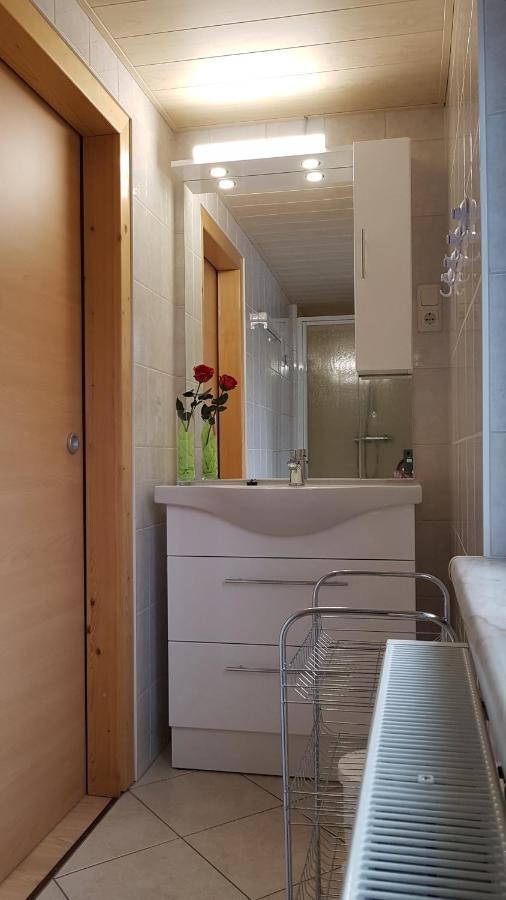 Ferienwohnung Berndt Oberweißbach Exteriör bild