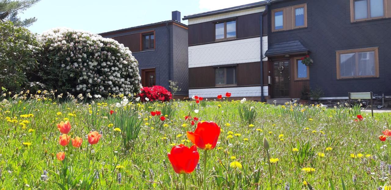 Ferienwohnung Berndt Oberweißbach Exteriör bild